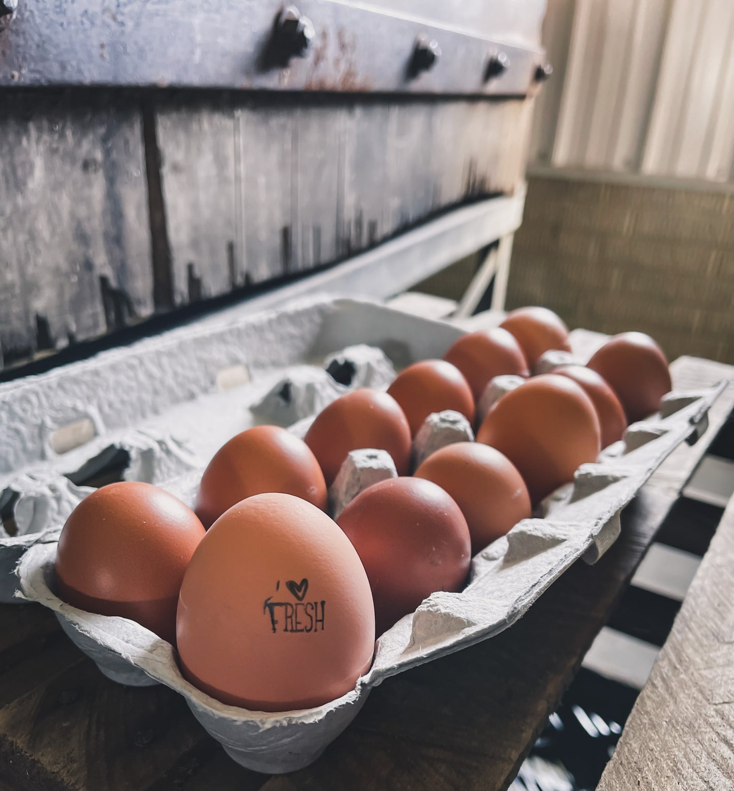 Farm Fresh Eggs